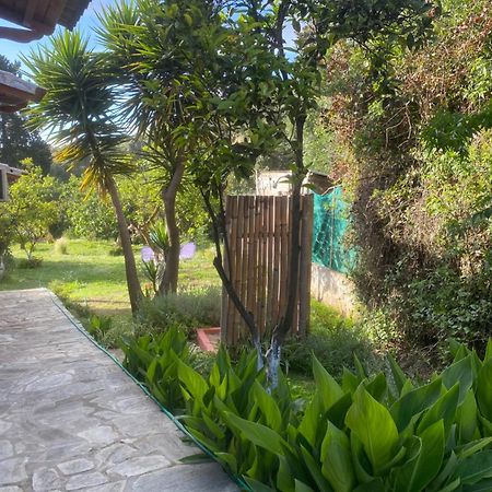 فيلا Casa Piccolino Paramonas  المظهر الخارجي الصورة