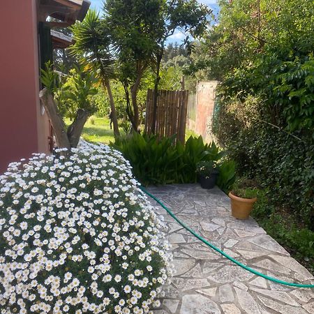 فيلا Casa Piccolino Paramonas  المظهر الخارجي الصورة