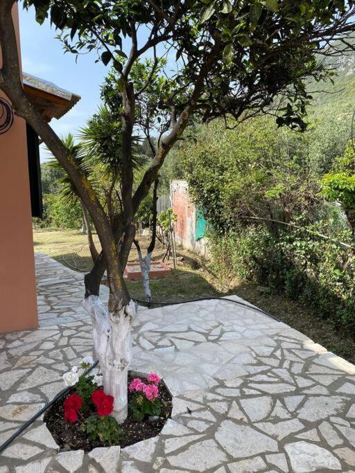فيلا Casa Piccolino Paramonas  المظهر الخارجي الصورة